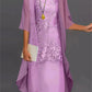 Two-Piece Semi-Sheer Layered Dress Set