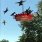 Ant-Resistant Feeder Design for Gardens, Patios, and Yard Spaces