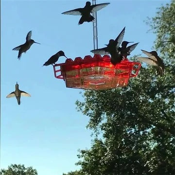 Ant-Resistant Feeder Design for Gardens, Patios, and Yard Spaces