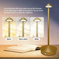 Rechargeable LED Desk Lamp with Touch Control and Three Color Modes, USB Charging