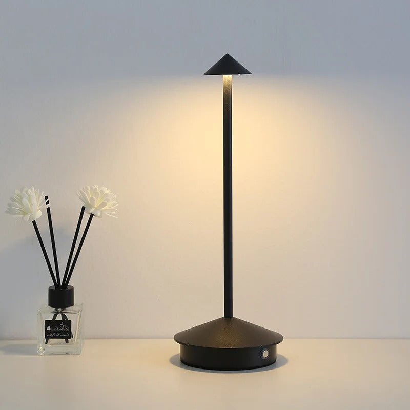 Rechargeable LED Desk Lamp with Touch Control and Three Color Modes, USB Charging