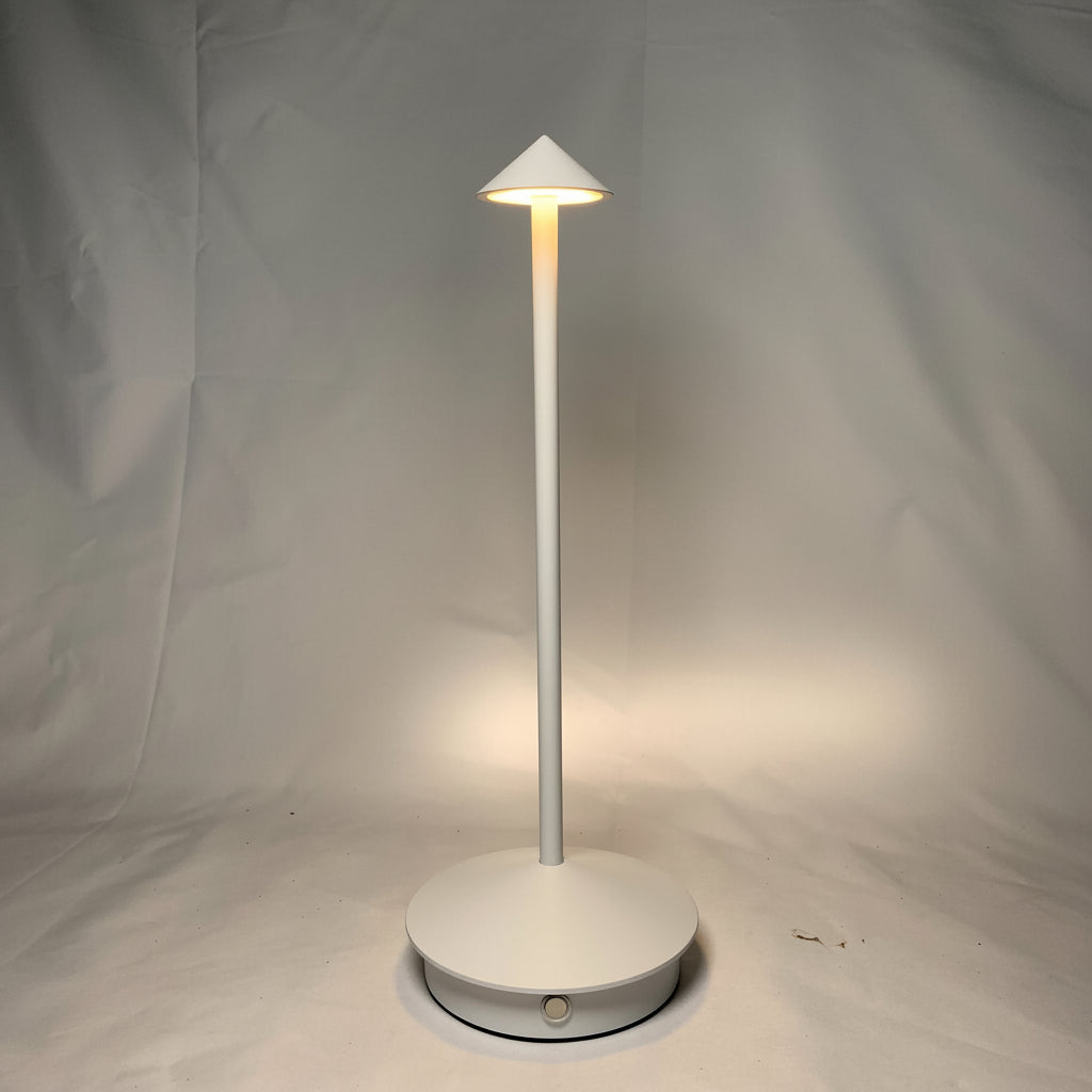 Rechargeable LED Desk Lamp with Touch Control and Three Color Modes, USB Charging