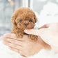 Interactive Robotic Puppy Toy Smart Walking and Barking Dog