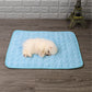 Pressure Activated Cooling Pad with Foldable Design and Machine Washable Surface