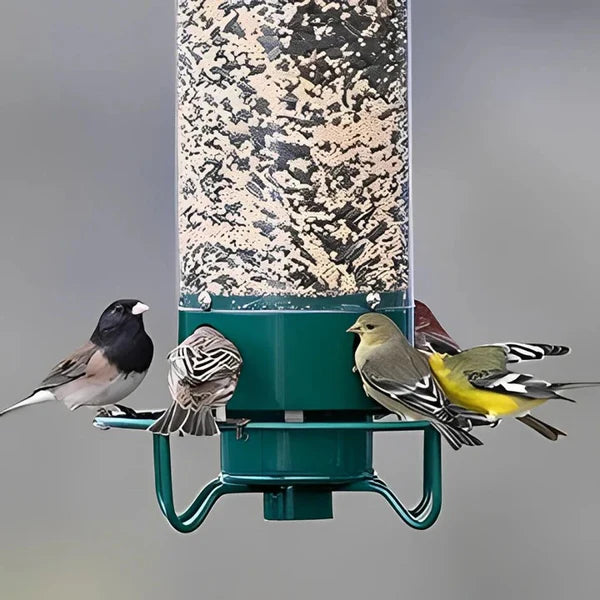 Squirrel Proof Bird Feeder with Weight Activated Spinning Perch