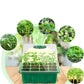 Seed Starter Tray with Full Spectrum Grow Light and Raised Dome