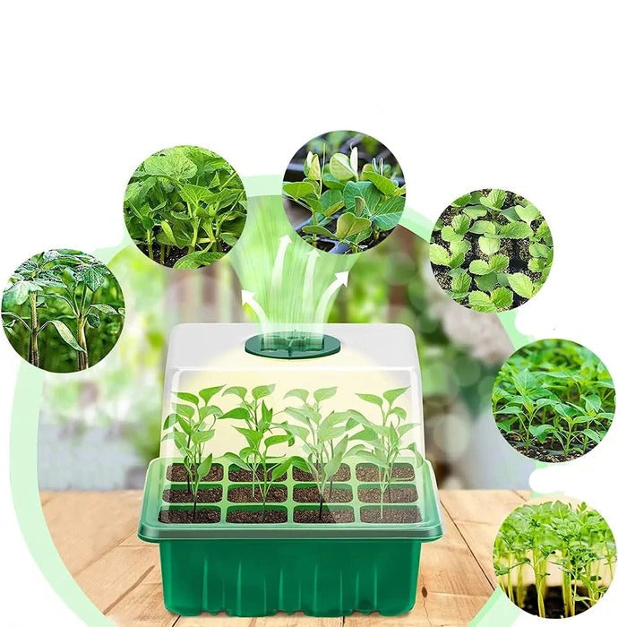 Seed Starter Tray with Full Spectrum Grow Light and Raised Dome