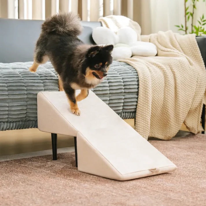 Convertible Dog Ramp with Padded Steps and Suction Cup Base for Beds and Couches