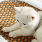 Cat Scratch Lounge Bed with Cushioned Sleeping Area and Textured Surface