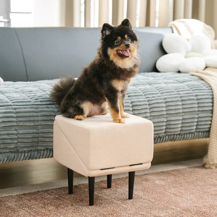 Convertible Dog Ramp with Padded Steps and Suction Cup Base for Beds and Couches