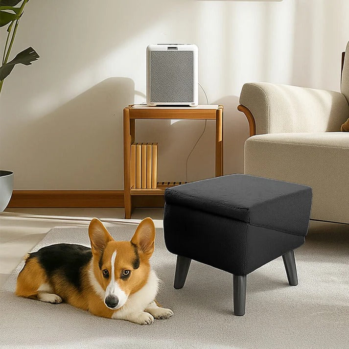 Convertible Dog Ramp with Padded Steps and Suction Cup Base for Beds and Couches