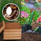 Compressed Coco Coir Block with Water Expansion for Indoor and Outdoor Plants