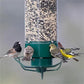 Bird Feeder with Squirrel Deterrent Design for Wild Birds