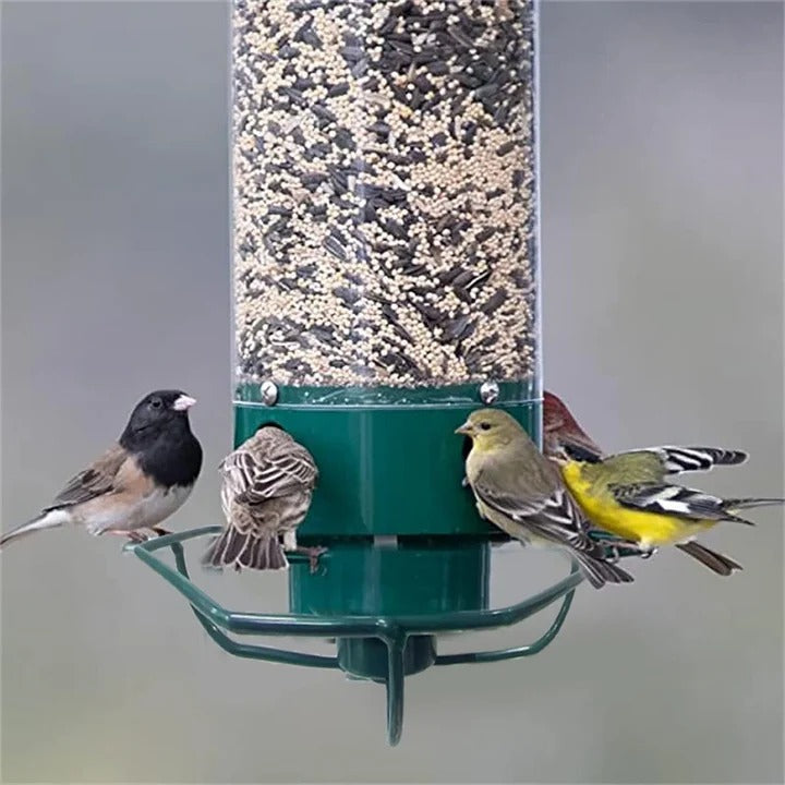 Bird Feeder with Squirrel Deterrent Design for Wild Birds