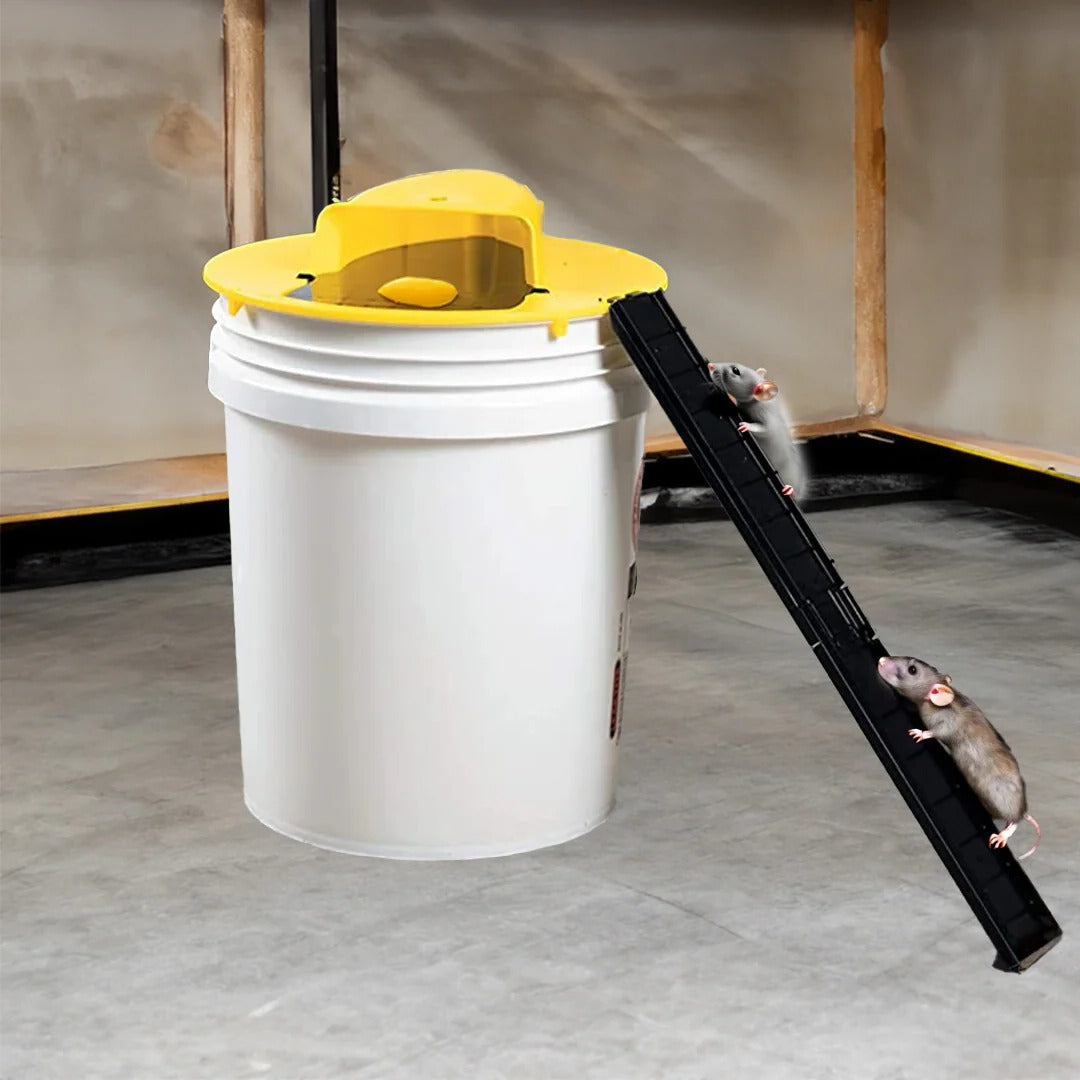 Reusable Flip-and-Slide Humane Bucket Trap for Mice and Medium-Sized Rats