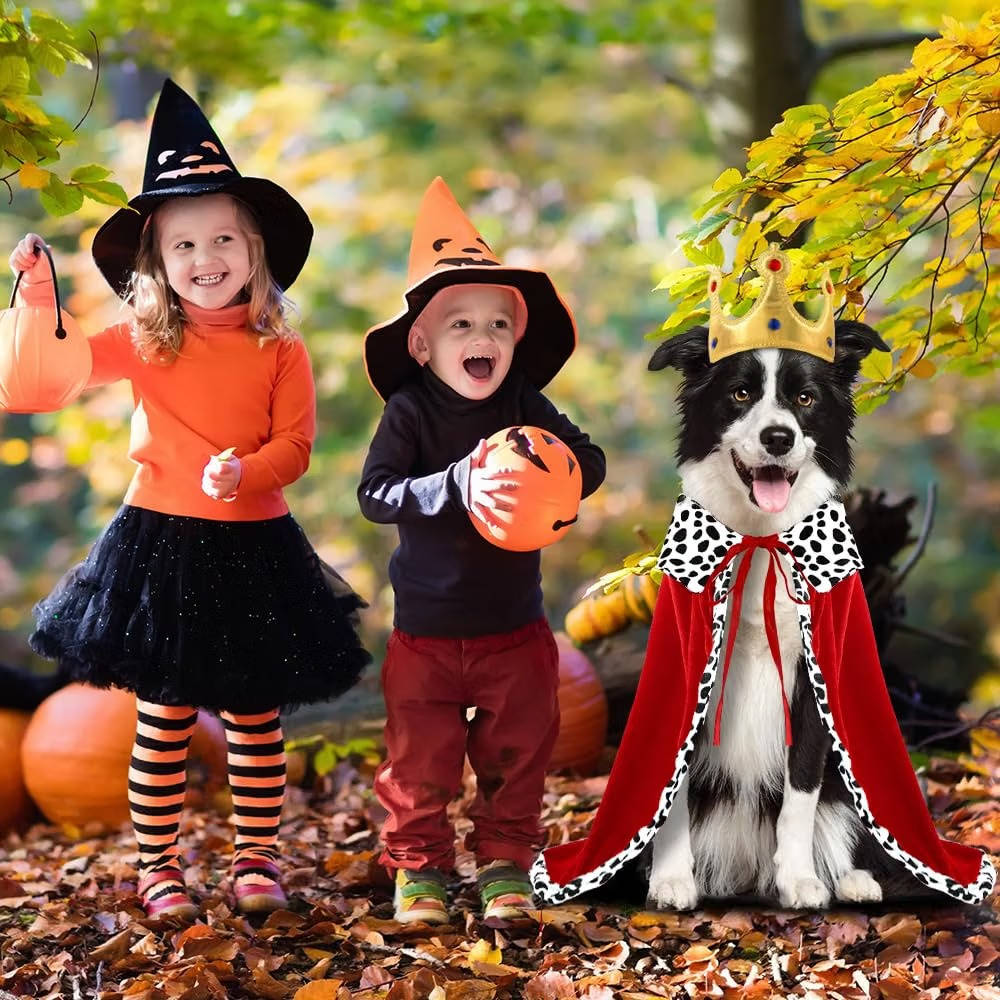 Halloween Dog King Costume, Royal Cape with Crown for Medium and Large Dogs, Pet Costume for Parties