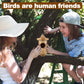 House for Outside Nesting 3 Pack with Bird Feeder, Small Wooden Bird House for Outdoors with Hemp Ropes