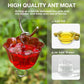 Glass Hummingbird Feeder for Outdoors, Wild Bird Feeder with 6 Feeding Ports for Garden Yard