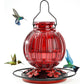 Glass Bird Feeder for Outdoors Hanging, 26 oz Leakproof Bird Nectar Feeder with 5 Metal Flower Feeding Ports