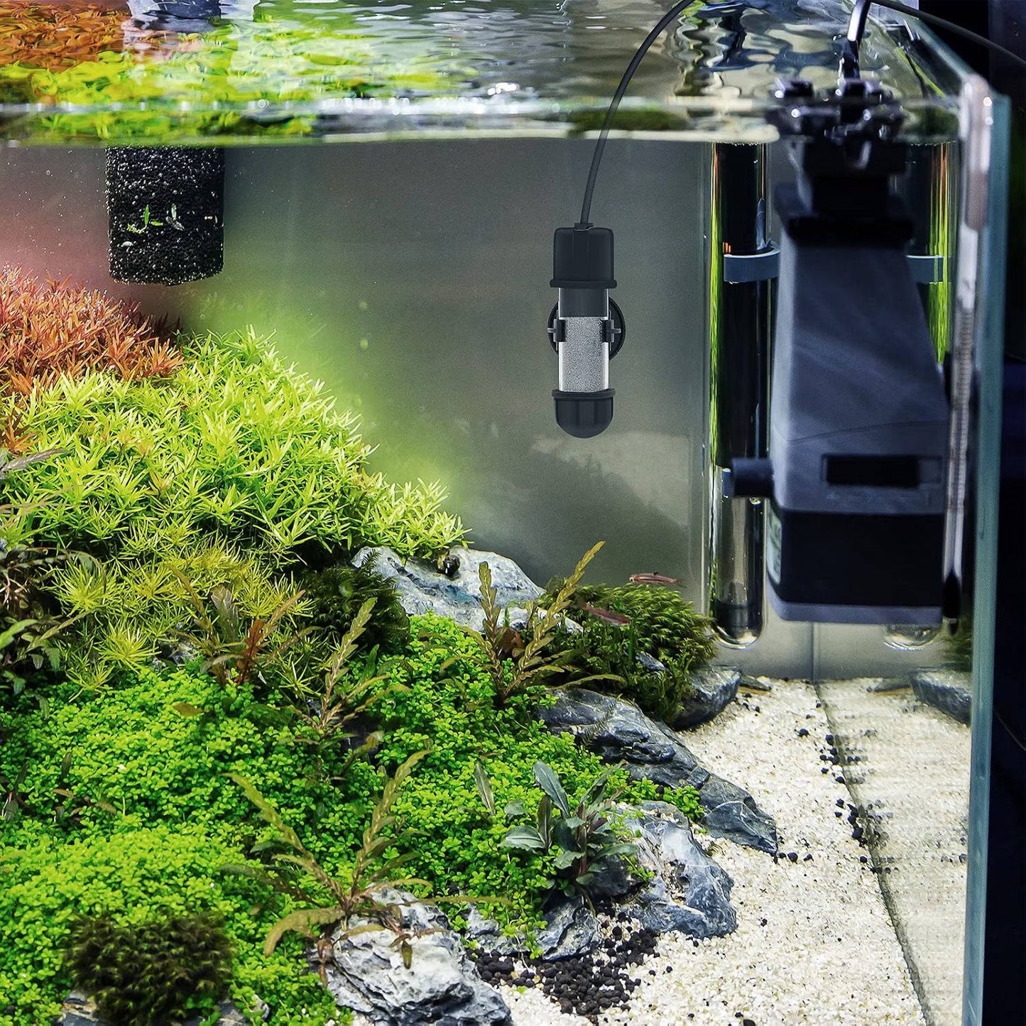 Aquarium Betta Heater, Submersible Fish Tank Heater 10W/25W/50W/100W with LED Digital Display for Freshwater and Saltwater
