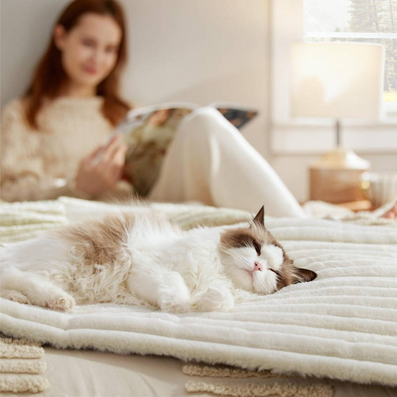 Self Heating Pet Mat, Noiseless Non Slip Dog and Cat Mat for Calming Comfort, No Gel and No Electricity
