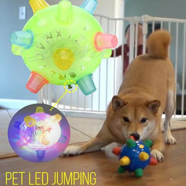 Motion-Activated Dog Ball with LED Lights and Unpredictable Bounce, Rechargeable 5.1 in
