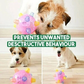 Motion-Activated Dog Ball with LED Lights and Unpredictable Bounce, Rechargeable 5.1 in