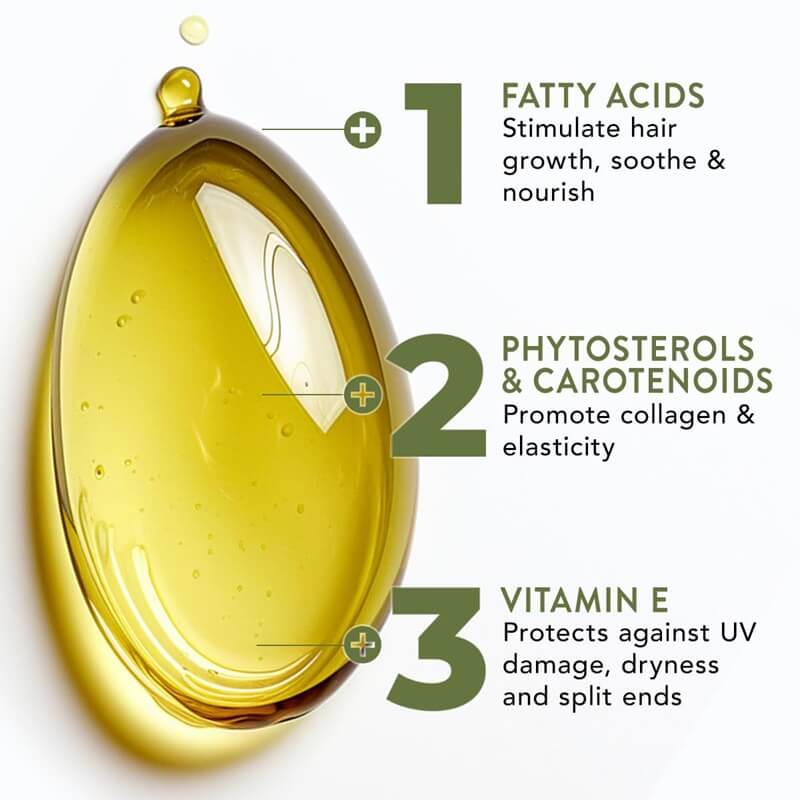 Organic Raw Batana Oil for Hair Growth and Hair Loss Prevention
