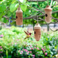 Hummingbird House with Wood Grain Finish and Hanging Loop for Garden Nesting