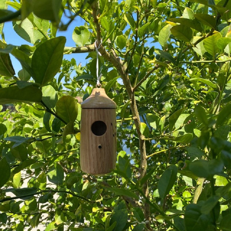 Hummingbird House with Wood Grain Finish and Hanging Loop for Garden Nesting