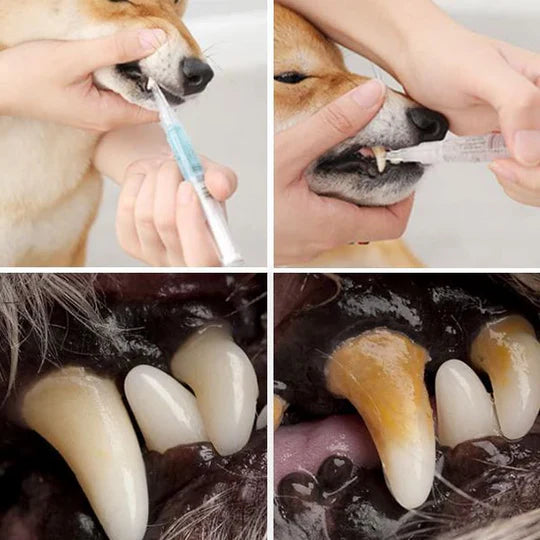 Pet Teeth Cleaning Formula, Natural Oral Care for Stain Removal and Gum Health