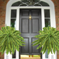 Artificial Boston Fern Bundle 18 Pack with UV Protection and Water Shedding