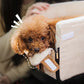Pet Armrest Safety Seat, Car Seat Travel Bag for Small Dogs and Cats