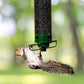 Mygametables Squirrel Proof Bird Feeder Hanging Mount