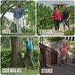 Adjustable Walking Stick with 12 Height Settings and 360-Degree Rotating Tip, 300lb Capacity