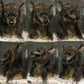 Wolf Mask with Movable Jaw and Silicone Hair Texture for Costume Events