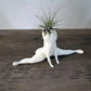 Spooky Shape Air Plant Display - SpookyBuddy-Nora Luxe