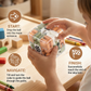 Labyrinth Ball Maze Cube with Clear Puzzle Design