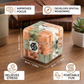 Labyrinth Ball Maze Cube with Clear Puzzle Design